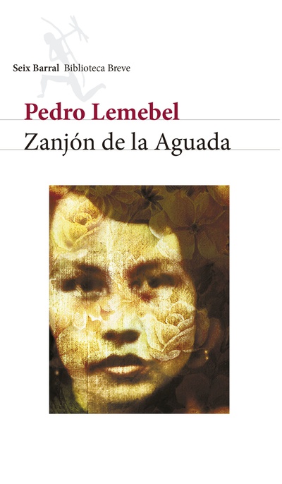 Zanjón de la Aguada