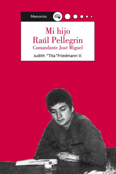 Mi hijo Raúl Pellegrin