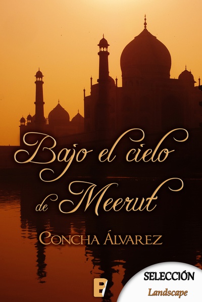 Bajo el cielo de Meerut
