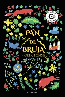 Pan de Bruja