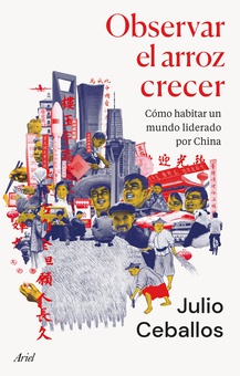 Observar el arroz crecer