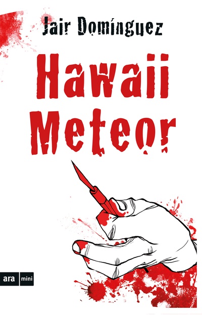 Hawaii Meteor