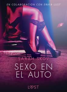 Sexo en el auto - Literatura erótica